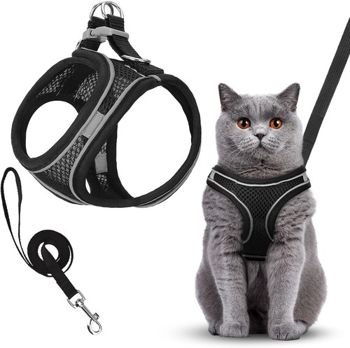 Atmungsaktives katzen geschirr - katzen,